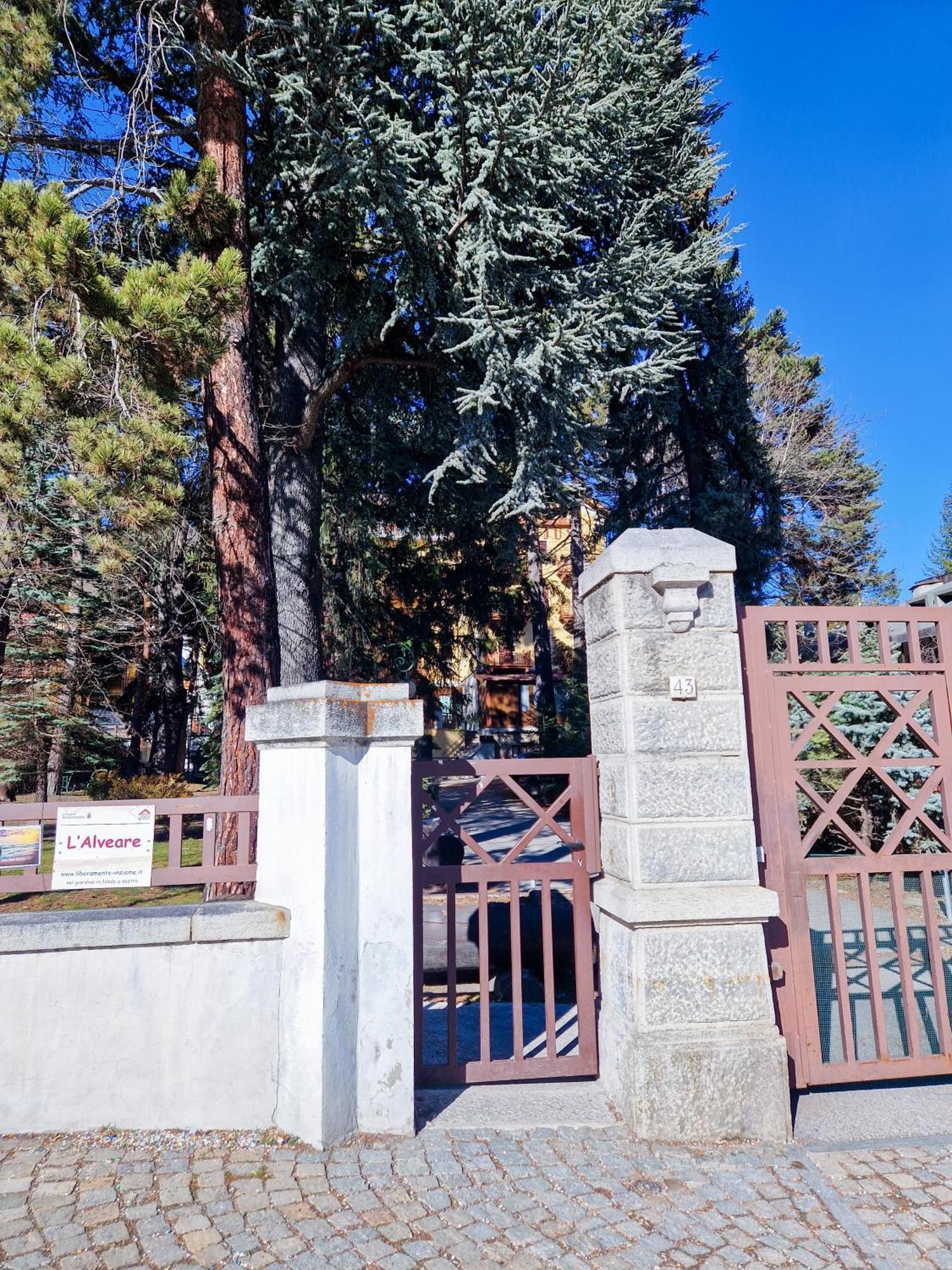 Bardonecchia Studio Apartment - Frejus Palace Exteriör bild